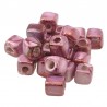 Rosa/ Fucsia