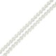 Entrepieza de Perla de Concha 8mm(~49pcs)