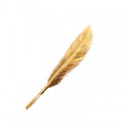 Pluma ~12-15cm