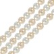 Entrepieza de Perla de Concha 4mm (~40cm)