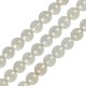 Entrepieza de Perla de Concha 6mm(~67pcs)