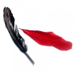 Pluma 15cm (100 piezas/paquete)