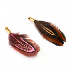 Pluma de Faisan con Capuchon de Laton ~40mm