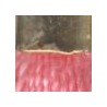 Dorado/Rosa Claro