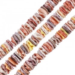 Entrepiza de Nacar Disco Irregular 6mm (Ø~0.4mm) (~450pcs)