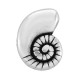 Entrepieza de Metal Zamak Caracola 11x8mm (Ø1.8mm)