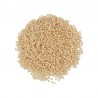 593 Beige