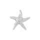 Colgante de Metal Zamak Estrella de Mar 36x5,8mm (Ø2,2mm)