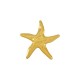 Colgante de Metal Zamak Estrella de Mar 36x5,8mm (Ø2,2mm)