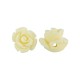 Entrepieza de Pasta de Coral Rosa 10mm (Ø~0.9mm)