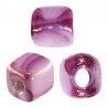 Rosa/ Fucsia