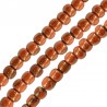 Shniny Brown