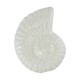 Colgante de Ceramica Esmaltada Caracola 33x42mm (Ø2.8mm)