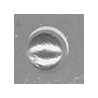 Gris/Plata