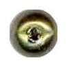 Oliva Brillante