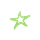 Colgante de Metacrilato Estrella de Mar 53x50mm