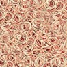 Oro Rosa 24K/0.12µm