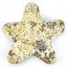 Inlay Plata Brillante Inlay Plata Brillante