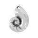 Colgante de Metal Zamak Concha 21x28mm