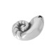 Colgante de Metal Zamak Concha 21x28mm