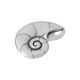 Colgante de Metal Zamak Caracola 22x30mm