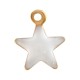 Colgante de Acero Inoxidable 304 Estrella con Esmalte 5x6mm/1.2mm