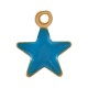 Colgante de Acero Inoxidable 304 Estrella con Esmalte 5x6mm/1.2mm