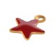 Colgante de Acero Inoxidable 304 Estrella con Esmalte 5x6mm/1.2mm