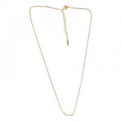 Collar de Acero Inoxidable 45+5cm