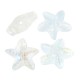 Entrepieza de Cristal Estrella de Mar 14x15mm (Ø0.5mm)