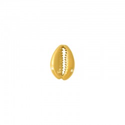 Conector de Metal Zamak Concha 19x13mm