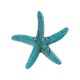 Colgante de Resina Estrella de Mar 38/6mm