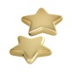 Pasador de Acrílico Estrella 40x39mm/8mm Ø1.7mm