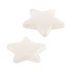 Pasador de Acrílico Estrella 40x39mm/8mm Ø1.7mm