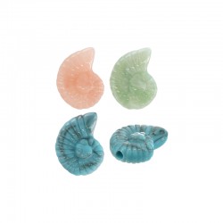 Entrepieza de Acrílico Concha 17x20mm/10mm Ø2.5mm