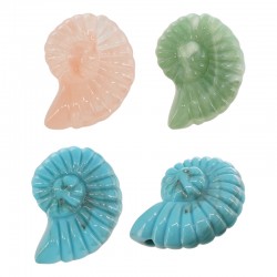 Entrepieza de Acrílico Concha 32x41mm/17mm Ø3mm