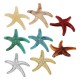 Entrepieza de Acrílico Estrella de Mar 43x41mm/9mm Ø2mm