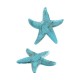 Colgante de Acrílico Estrella de Mar 43x41mm/9mm Ø1.5mm