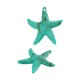Colgante de Acrílico Estrella de Mar 43x41mm/9mm Ø1.5mm