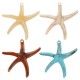 Colgante de Acrílico Estrella de Mar 88x86mm/16mm Ø3.6mm