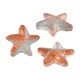 Entrepieza de Vidrio Estrella de Mar 14x15mm/7mm Ø0.9mm