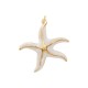 Colgante de Acero Inoxidable 304 Estrella de Mar con Esmalte 34x33mm