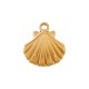 Colgante de Acero Inoxidable 304 Concha 13x13.8mm