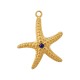 Colgante de Acero Inoxidable 304 Estrella de Mar 22x25.5mm