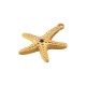 Colgante de Acero Inoxidable 304 Estrella de Mar 22x25.5mm