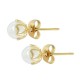 Stainless Steel 304 Earring