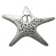 Pasador de Metal Zamak Estrella de Mar 53x69mm