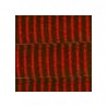 Negro/Rojo