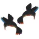 Colgante de Metacrilato Colibri 60x38mm (2pcs/Set)