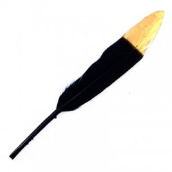 Pluma ~15cm